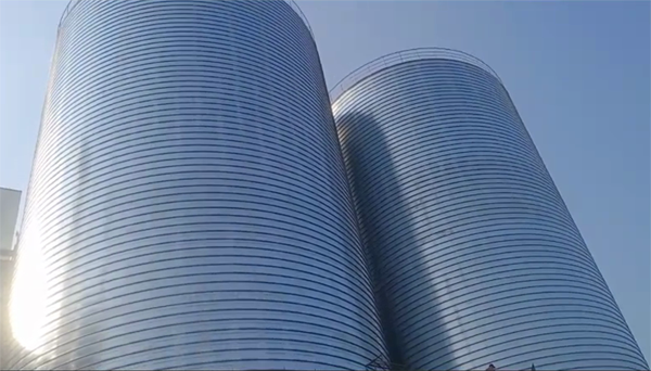 元宝2座混凝土高架卷板仓